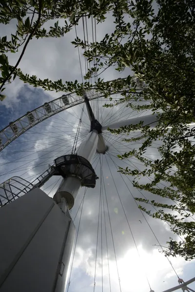 DSC_2804 (Large).JPG